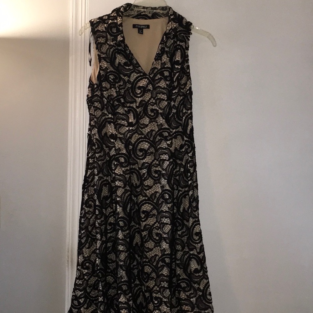 New Roz &Ali, fit and flare party dress lace with collar